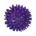 thumbnail image 2 of Pelotas de masaje con púas Pelota de ejercicio Rodillos de masaje con púas Pelota de masaje para manos y pies Púrpura, 2 of 6