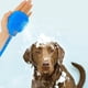 thumbnail image 3 of Ducha Portátil para Mascotas: Boquilla de Masaje de Silicona para Perros y Gatos, Kit de Baño con Presión de Agua Ajustable y Manguera., 3 of 8