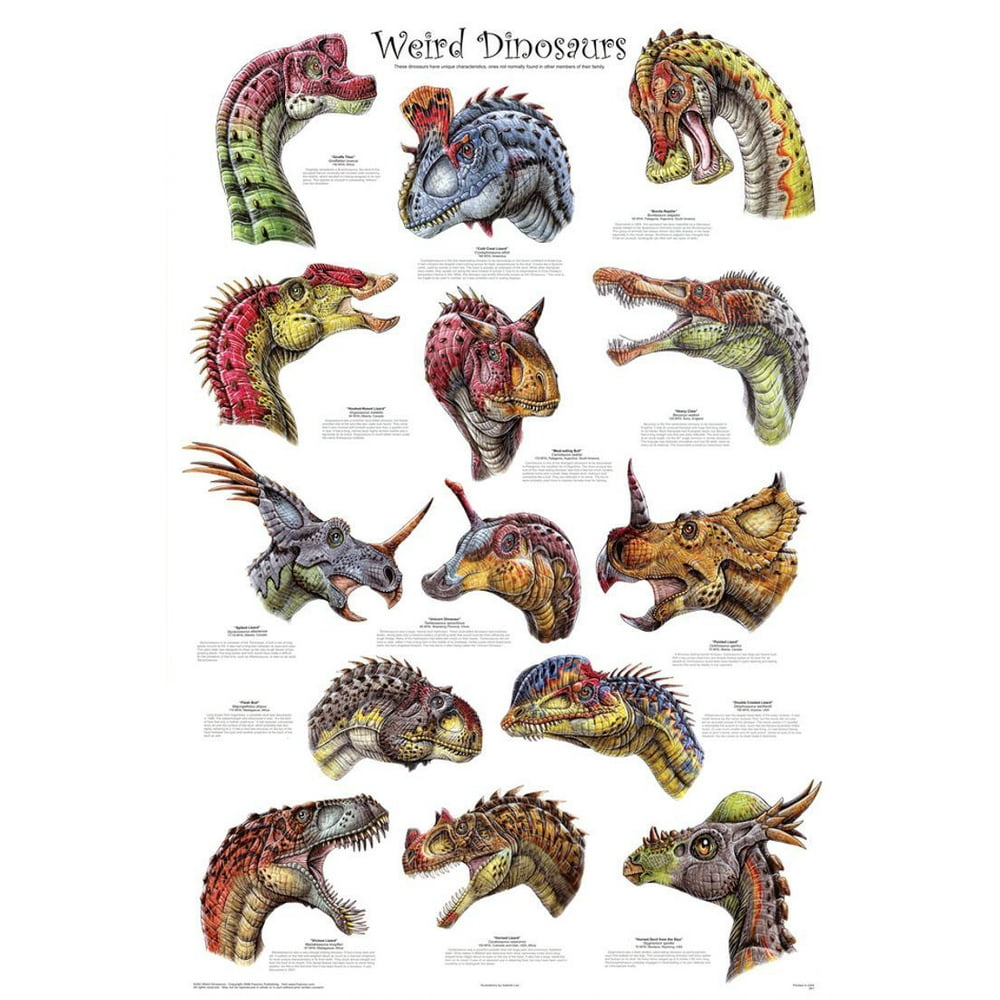 Laminated Weird Dinosaurs Educational Paleontology Science Laminated - Walmart.com - Walmart.com