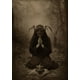 thumbnail image 1 of Pintura en lienzo de estilo gótico victoriano para decoración de la habitación, póster Retro, Cuervo, bruja, murciélago, Calavera, Academia oscura, regalos de Halloween, 1 of 4