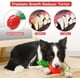 thumbnail image 4 of cepillo de dientes chirriante para perros, indestructible, duradero, de caucho natural, para perros y cachorros pequeños y medianos, ideal para el cuidado dental de mascotas (rojo), 4 of 5