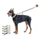 thumbnail image 1 of Correa Elástica Táctica K9 Resistente Para Perros Ajustable, 1 of 6
