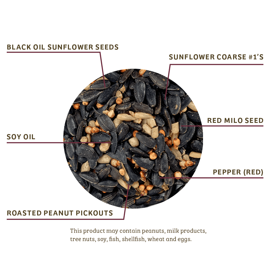 Birds Choice Trailblazin' Wild Bird Food - 10 lbs.