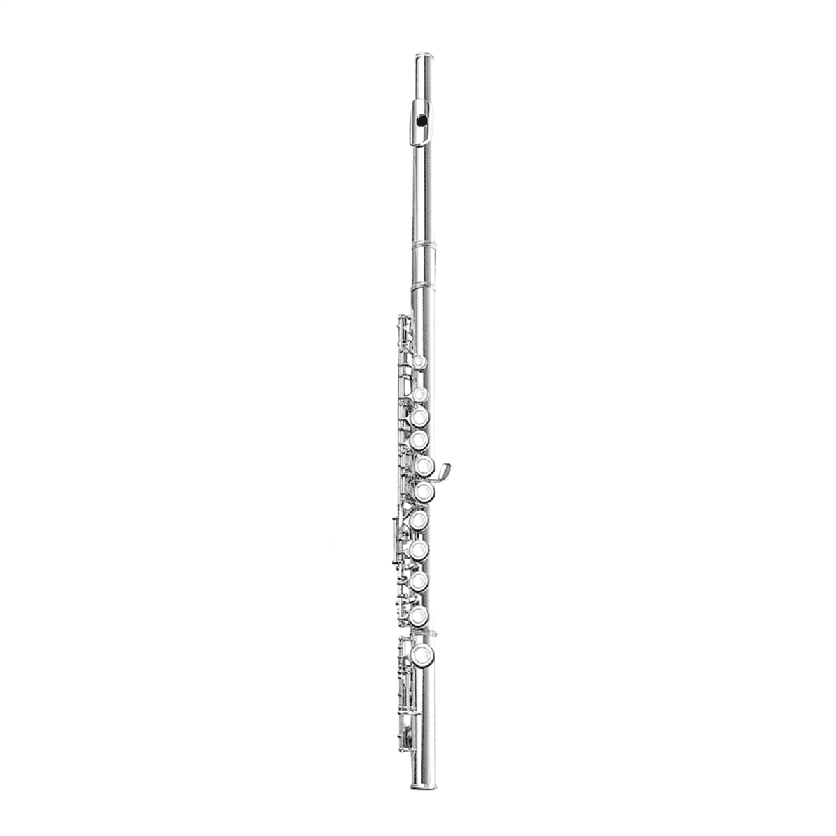 16 Closed Open Holes C Key Professional Transverse Flute