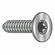 Tamper-Pruf Screw Scrw Sz #6,T10,Zinc,1/4"L,PK50 440800