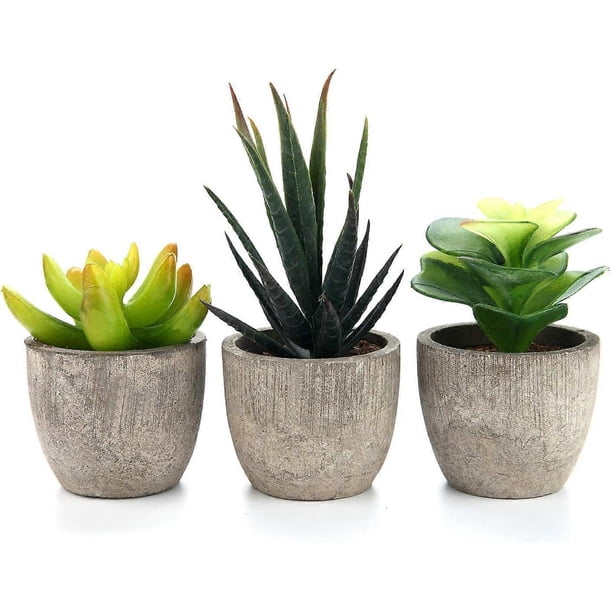 3pcs Faux Succulent Bonsai Cactus Plant Pot Flower Pot Container Plant Bonsai Artificial Simulation Plants with Pots