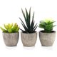thumbnail image 1 of 3pcs Faux Succulent Bonsai Cactus Plant Pot Flower Pot Container Plant Bonsai Artificial Simulation Plants with Pots, 1 of 4