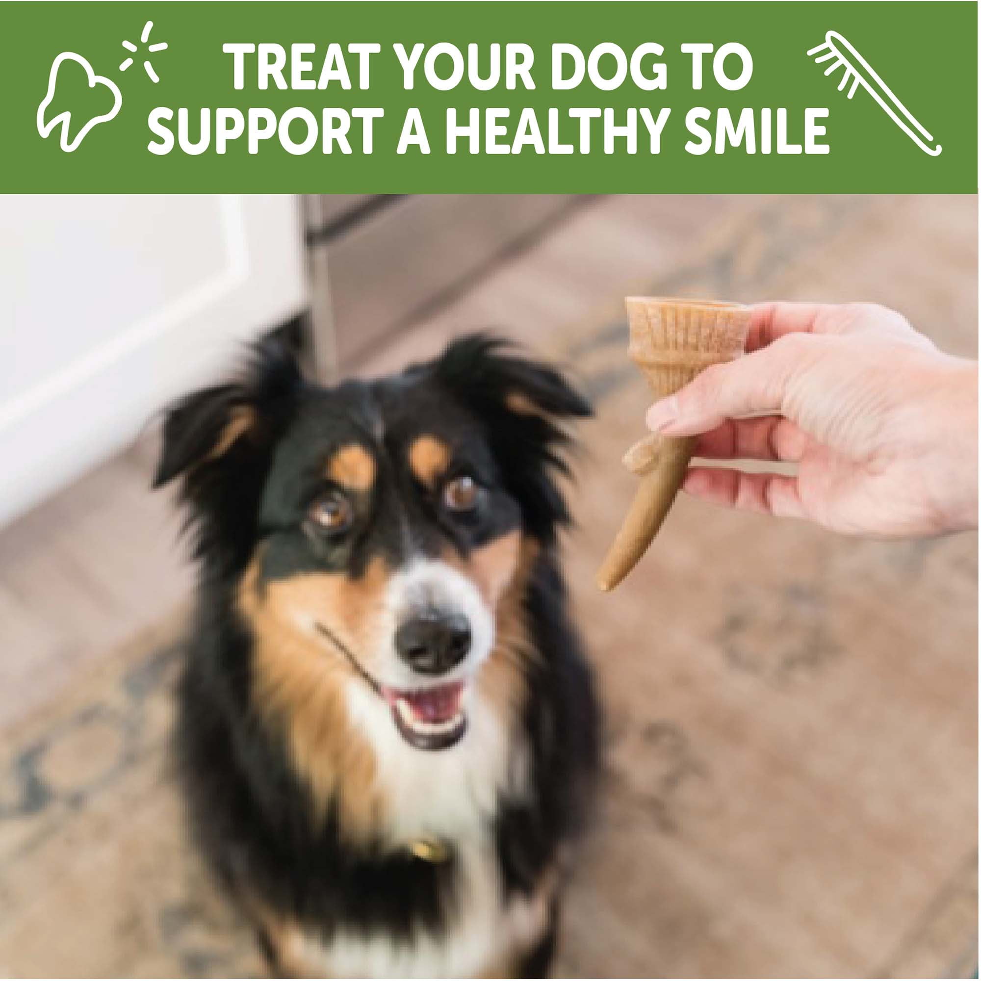 (4 pack) Wellness WHIMZEES Antler Occupy Natural Dog Dental Treat, Chews, Freshens Breath, Large Size, 12.7 oz Bag, 6 Count