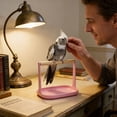 thumbnail image 4 of Desktop Play Stand For Small Parrots Interactive Bird With Chew And Ladder, 4 of 6
