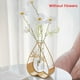 thumbnail image 4 of Florero de Metal con Soporte, Florero de Vidrio Transparente, Escritorio, Plantas Hidropónicas para el Hogar, Decoración del Hogar, Decoración de Oficina A, 4 of 5