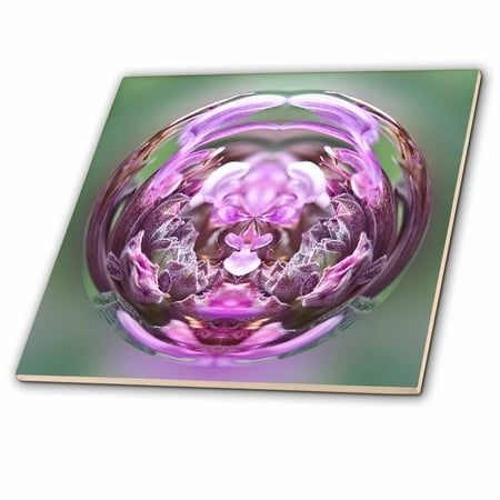 - 3dRose Decorative colorful garden botanic paperweight globe abstract flower SW Southwest cactus - Ceramic Tile, 4-inch