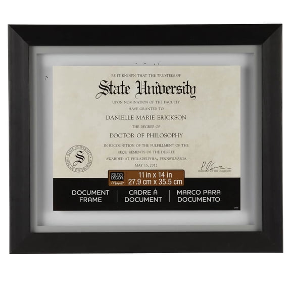 Studio Decor 11" x 14" Black Document Float Frame