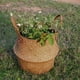 thumbnail image 2 of Jardinera Jardinera Maceta Paja Escribir Mimbre Bolsa Los 38x34cm, 2 of 7