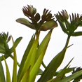 thumbnail image 3 of Nearly Natural 8152-S2 Succulente Plante Artificielle en Verre Incliné - Lot de 2, 3 of 3