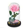 thumbnail image 2 of Margarine Rose and Preserved Rose in Glass Dome, Made from Artificial Preserved Flowers, Roses Never Withered Gift for Her, Valentine's, Mother's Day, Birthday (with Gift Box), 2 of 7