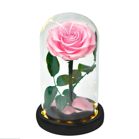 Dvkptbk Valentines Day Decor Rose Flower Led Light Valentine's Day Gifts Romantic Glass Rose Decor Valentines Day Gifts
