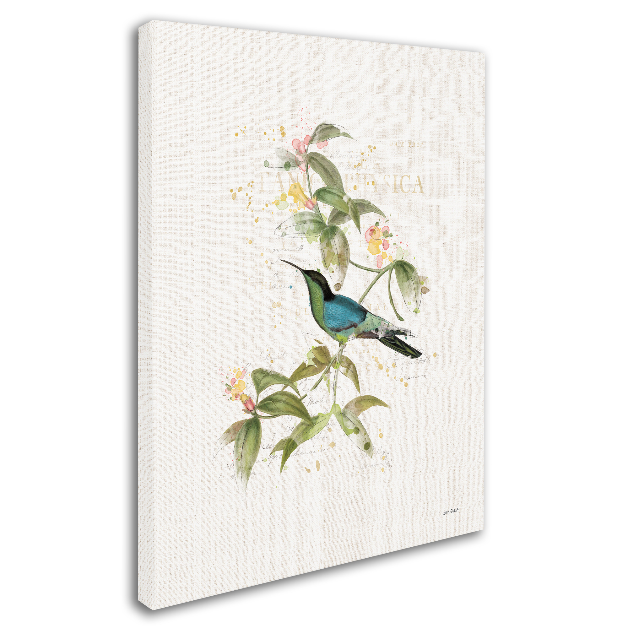 Trademark Fine Art 'Colorful Hummingbirds IV' Canvas Art by Katie Pertiet