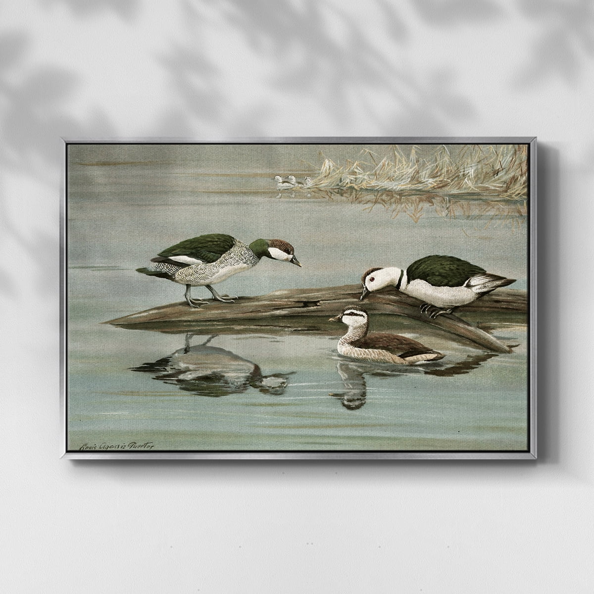 Vintage Animal Print-XIX By Wexford Home Framed in Silver Wood Gallery Wrapped Canvas 25 in. x 37 in.