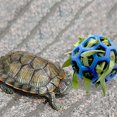 thumbnail image 5 of ShenMo Turtle Treat Ball, Hay Food Toy, Turtle Feeding Ball, Fruit Vegetable Holder, Toy for Small Pets, 5 of 5