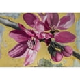 thumbnail image 3 of Sedalia, David 24x18 Black Modern Framed Museum Art Print Titled - Flowers IV, 3 of 5