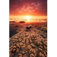 thumbnail image 2 of Gabriel, Barathieu 13x18 White Modern Wood Framed Museum Art Print Titled - Low Tide On The Lagoon Of Saint Leu., 2 of 4