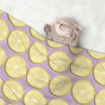 thumbnail image 2 of Sigee Yellow Lemon Slices for Pet Blanket for Dog Cat Puppy Blanket Cat Blankets for Small and Medium Pets-Medium, 2 of 8