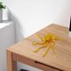 thumbnail image 4 of Modelo decorativo animal articulado adorno de pulpo impreso en 3D regalo de decoración del hogar, 4 of 6