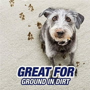 Resolve Pet Formula High Traffic Carpet Cleaner Foam, 22 oz