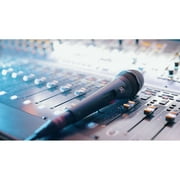 sE Electronics V7 Switch Dynamic Supercardioid Handheld Vocal Microphone