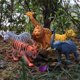 thumbnail image 3 of Juego de figuras de acción de animales de la jungla coleccionables de Kiddopark (paquete de 6), 3 of 5