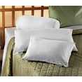 thumbnail image 2 of Bucky Bolster Pillow Cover - White, 2 of 3