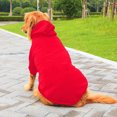 thumbnail image 3 of Hadanceo Pet Hoodie Spring Autumn Winter Soft Thick Cozy Solid Color Two-legged Medium Large Dog Sweatshirt Outfit Clothes Pet Supplies, 3 of 7