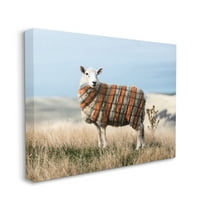Stupell Industries Sweater Weather Sheep Animal Farm Plaid Canvas Wall Art, 16 x 20, Design by Ziwei Li
