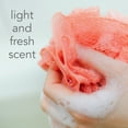 thumbnail image 4 of Equate Dye & Scent Free Feminine Wash, 13 fl oz, 4 of 6