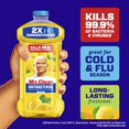 thumbnail image 2 of Limpiador Mr. Clean Limón Antibacterial 1215 ml, 2 of 7