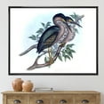 thumbnail image 2 of Designart 'Ancient Australian Birds VII' Traditional Framed Canvas Wall Art Print, 2 of 5
