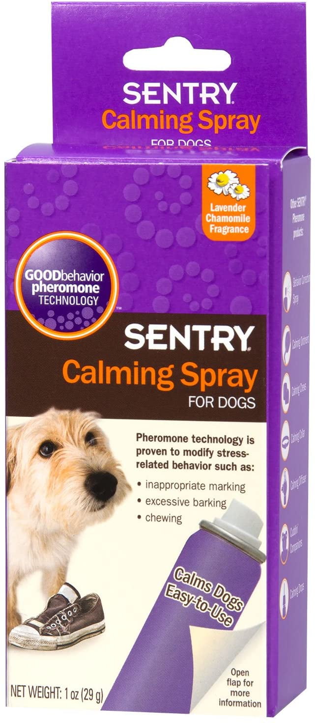 Can Dogs Use Nasal Spray