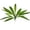 C, variant on Artificial Dracaena Plant 11.81 Inch,Realistic Fake Indoor Plant with Red Foliage, Low Maintenance Long Lasting Plastic Houseplant,Decorative Accent for Coffee Table Desk Entrance Hall Home Decor