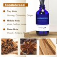 thumbnail image 2 of Fragancia para el hogar Reed Diffuser Xcleen con aroma a sándalo, 110 ml, 2 of 6