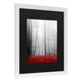 thumbnail image 2 of Trademark Fine Art 'Little Red Carpet' Canvas Art by Philippe Sainte-Laudy, 2 of 4