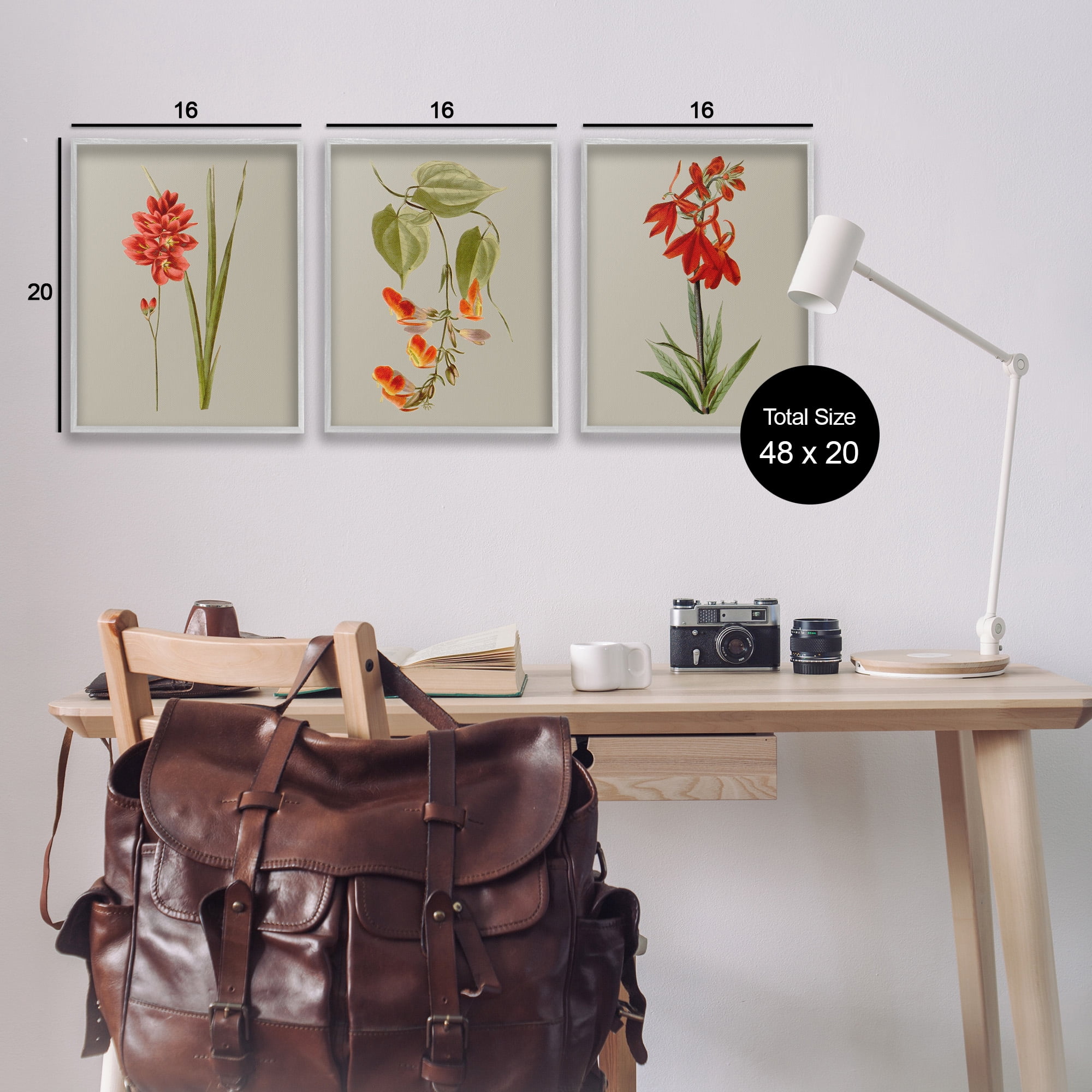 Stupell Industries Woodland Flower Study Botanical & Floral Painting Gray Framed Art Print Wall Art, 16 x 20, Set of 3