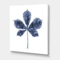 thumbnail image 3 of Designart ' Navy Blue Chestnut Leaf On White ' Traditional Canvas Wall Art Print, 3 of 4