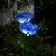 thumbnail image 1 of Luz LED Solar de simulación de rosa luces de flores decorativas Wdftyju para el hogar decoración de jardín lámpara de césped luz de rosa de paisaje impermeable, 1 of 3