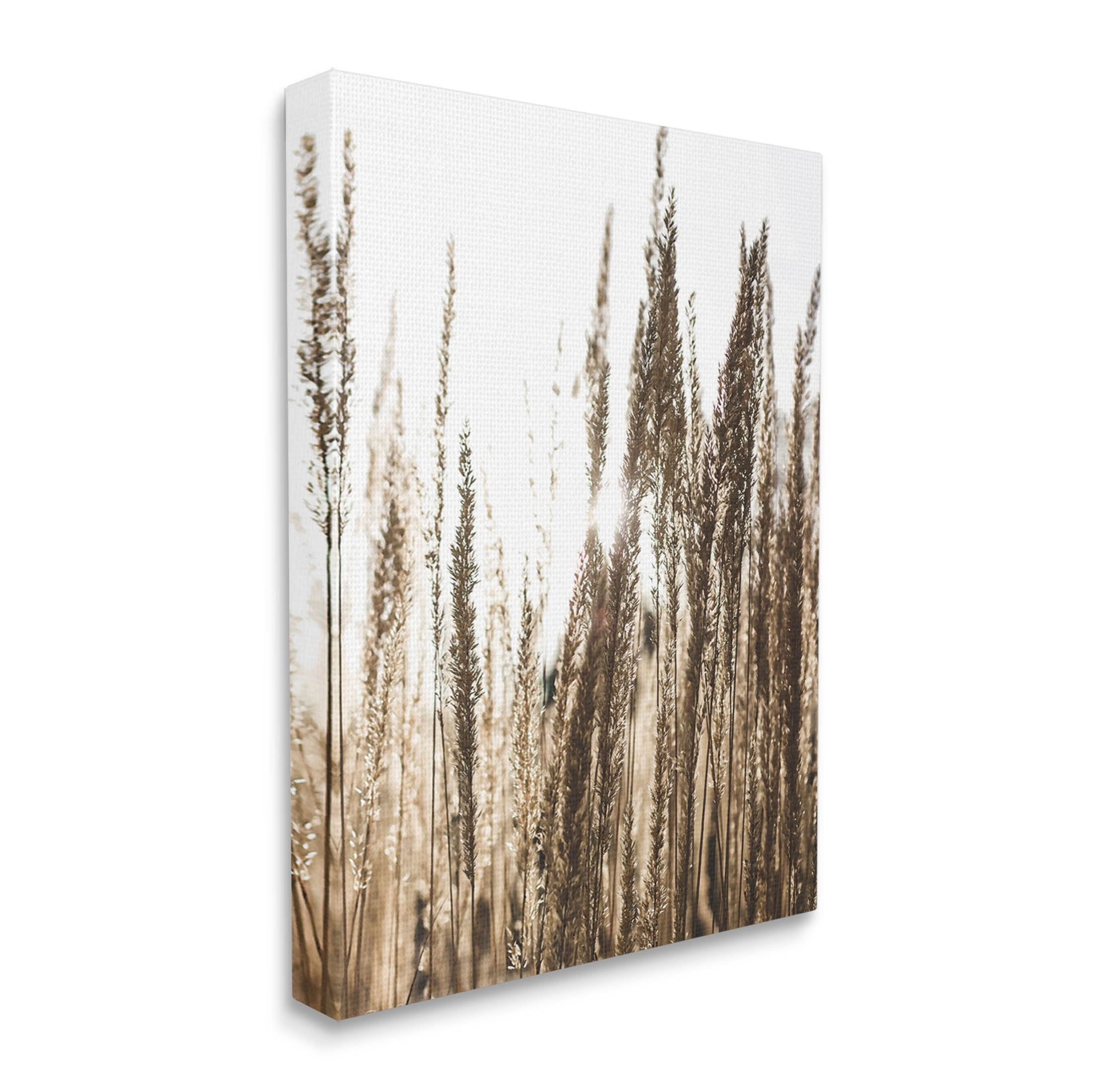 Stupell Industries Light Ray though Wheat Field Photograph Gallery Wrapped Canvas Print Wall Art, Design by Susan Ball