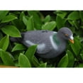 thumbnail image 4 of Señuelo Jardín Defensa Disuadir Scarer Espantapájaros, 4 of 8