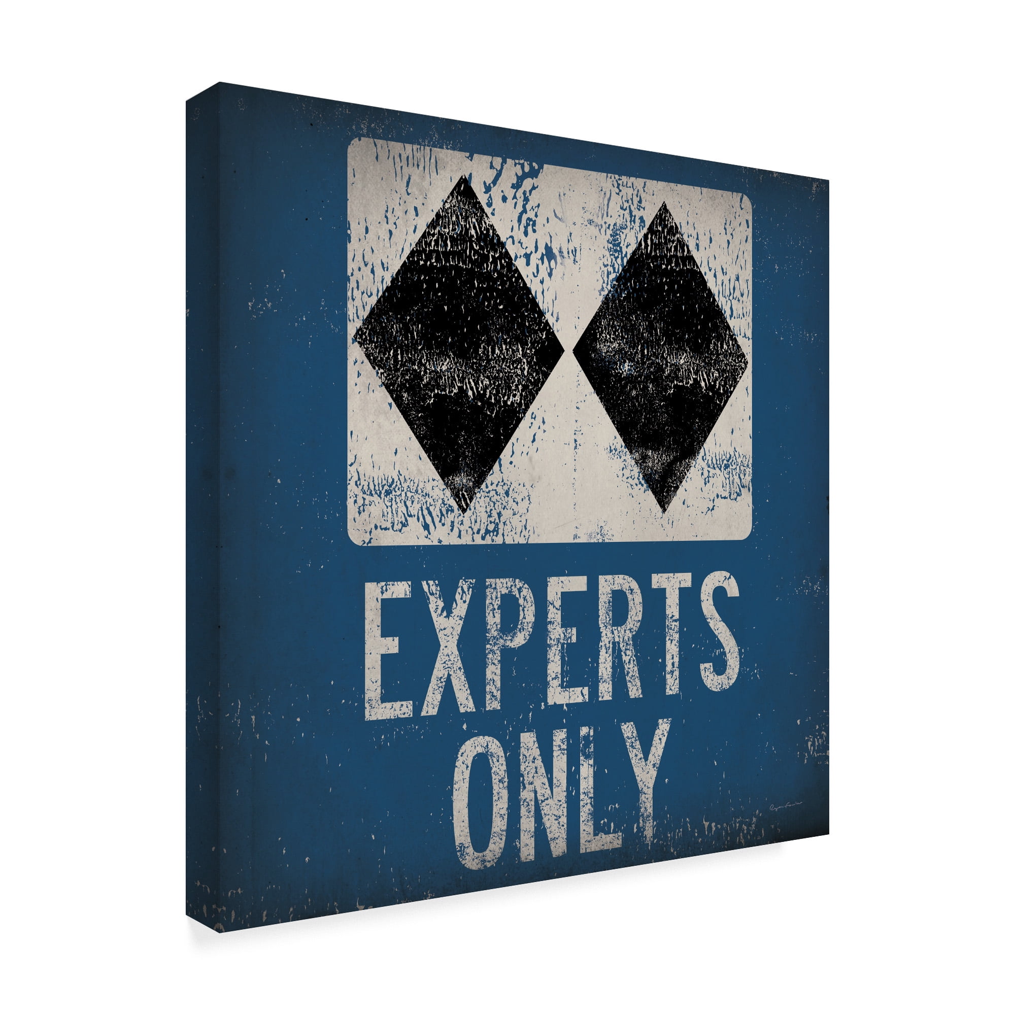 Trademark Fine Art 'Experts Only Blue' Canvas Art by Ryan Fowler