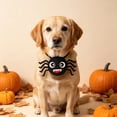 thumbnail image 6 of Halloween Pet Collar Costume Accessory, Skull Ghost Pumpkin Spider Bat Design Neck Bib Bandana for Small Medium Dogs Cats, Cute Holiday Dress Up Decor for Trick Or Treat Party Pet Photo Prop, 6 of 6