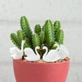 thumbnail image 3 of Colaxi 4 Pieces Mini Swan Figurines Flower Pot Decor Cute White Swan Statue Animal Sculpture for Bedroom Patio Bookshelf Yard Table, 3 of 10