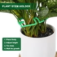 thumbnail image 3 of LULULION 4Pcs Green Plant Stand and Stem Stabilizer for Indoor Plant Growth and Outdoor Garden Use, 3 of 6