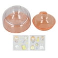 thumbnail image 2 of Bol de Nourriture pour Chat Surélevé 15 Degeree avec Support Transparent, Santé Améliorée Robuste, Bol Plat Incliné pour Chien pour la Maison Intérieur, pour une Alimentation et des Repas Faciles, Favorisant la Digestion et le Nettoyage, 2 of 7